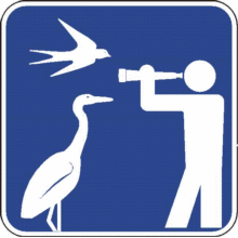 Site ornithologique