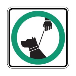 Obligation de garder le chien en laisse