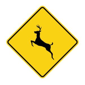 DEER CROSSING